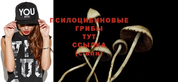 дживик Алексин