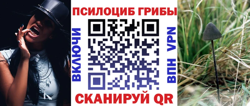 Галлюциногенные грибы Psilocybe  Слюдянка 